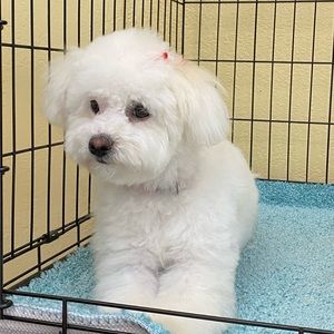 Meet your Posher, Edith